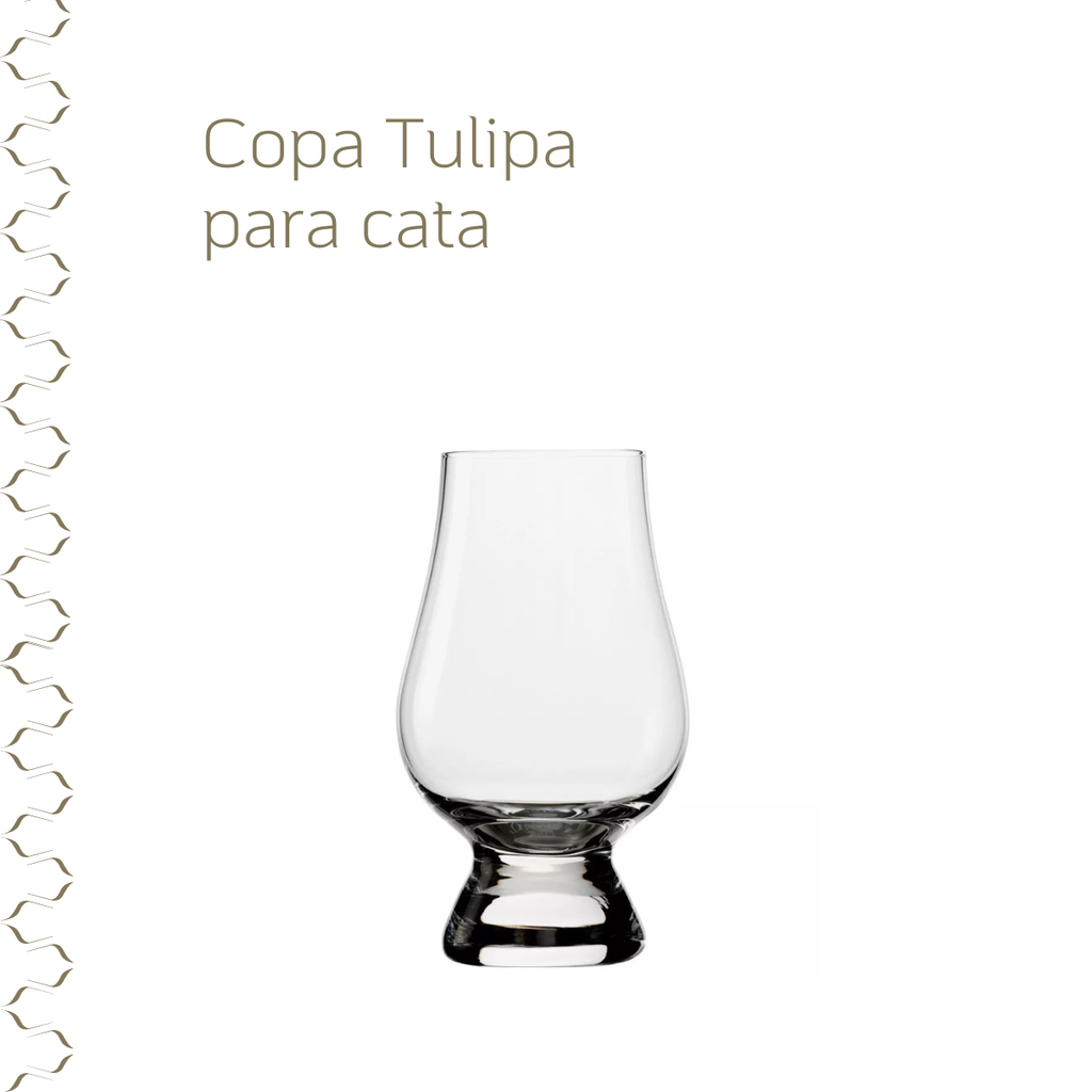 Copa Tulipa para Cata